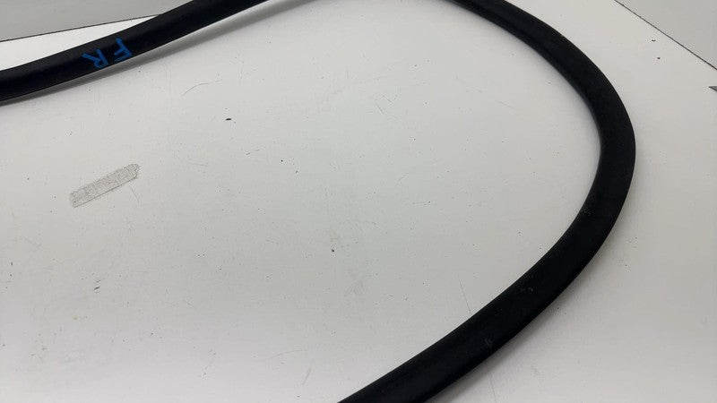 ⭕ 21-24 Mustang Mach-E Front Passenger Right Door Body Weatherstrip Rubber Seal