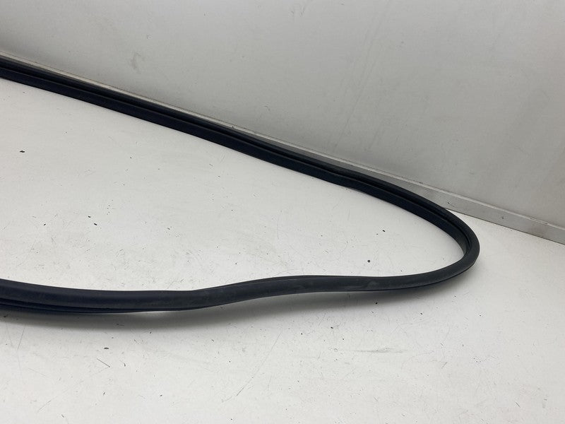 ⭕ 22-24 Hyundai Ioniq 5 Front Passenger Side Door Weatherstrip Rubber Seal Right