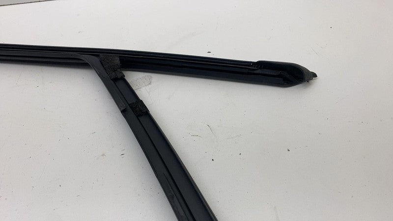LJ8BR21511A ⭕ 21-24 Mustang Mach-E Front Left Door Window Glass Channel Seal LJ8B-R21511-A
