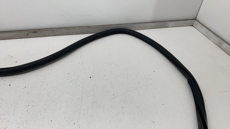 ⭕ 2017-2023 Chrysler Pacifica Rear Driver Side Door Body Weatherstrip Seal Left