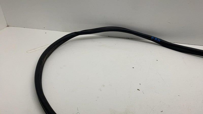 68291607 ⭕ 2019-2025 Ram 1500 Front Right Door Body Weatherstrip Rubber Seal OEM 68291607