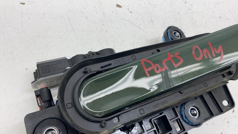 C100624700-E ⭕ 25 Rivian R1S RearLeft Exterior Door Handle Forest Green EXP006 C100624700-E