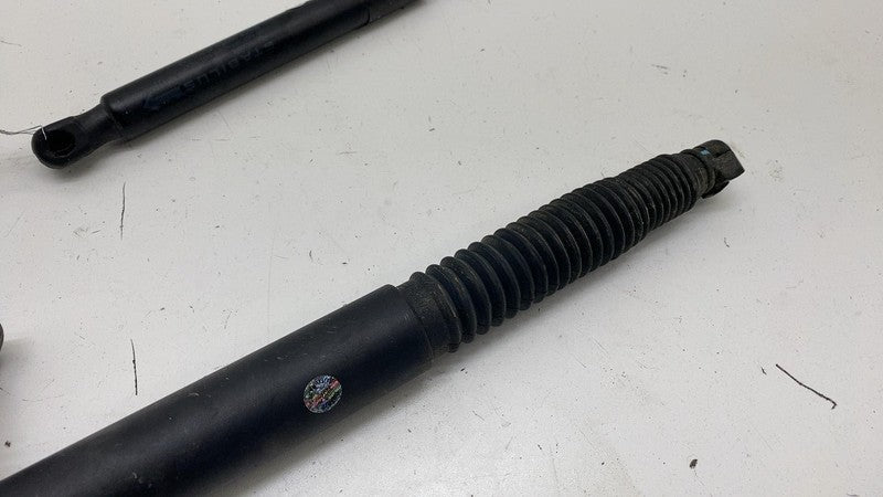 155148900B ⭕ 2017-2023 Model 3 M3 PAIR of Rear Trunk Lid Tailgate Shock Struts 1551489-00-B