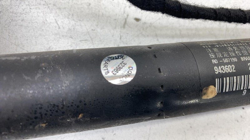 8737952 2018 2019 2020 BMW 530e G30 Trunk LID Shock Strut Support SET of 2 8737952