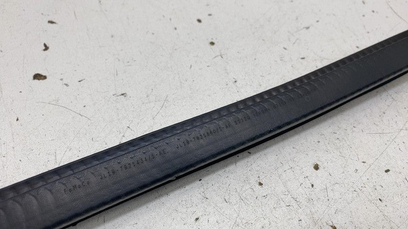 ⭕ 18-24 Navigator Rear Right Door Window Inner Weatherstrip Seal JL1B-