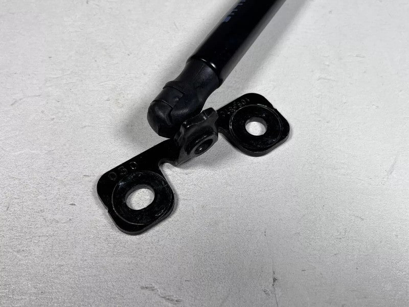 ⭕ 16-20 Model X MX Front Left & Right Hood Shock Strut Lift Support 10