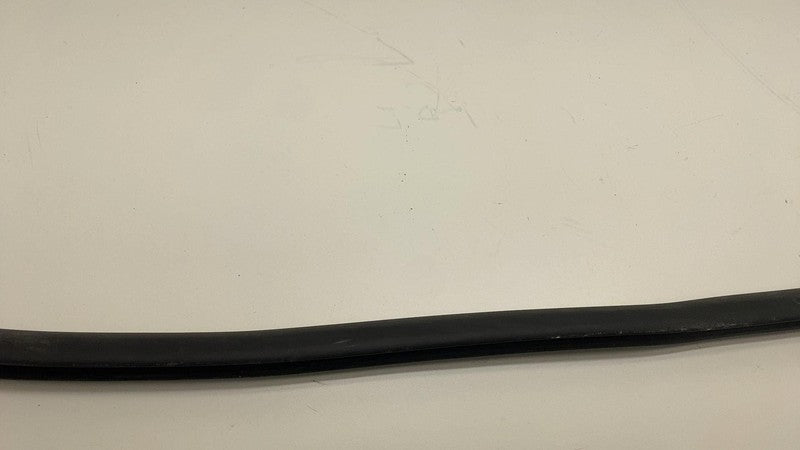 2020-2023 Tesla Model Y MY Front Driver Left Door Body Weatherstrip Rubber Seal