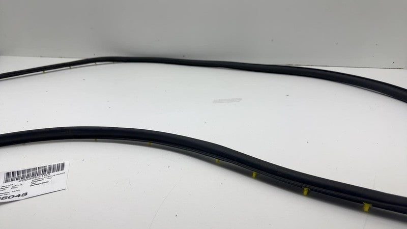 LJ8B-R20530 ⭕ 2021 2022 2023 2024 Ford Mustang Mach-E Front Door Weatherstrip Seal OEM