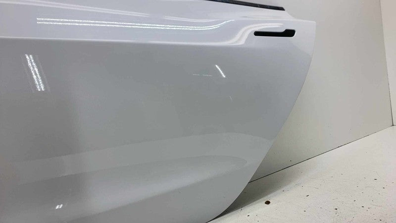 Rear Door TESLA MODEL 3 Left 22