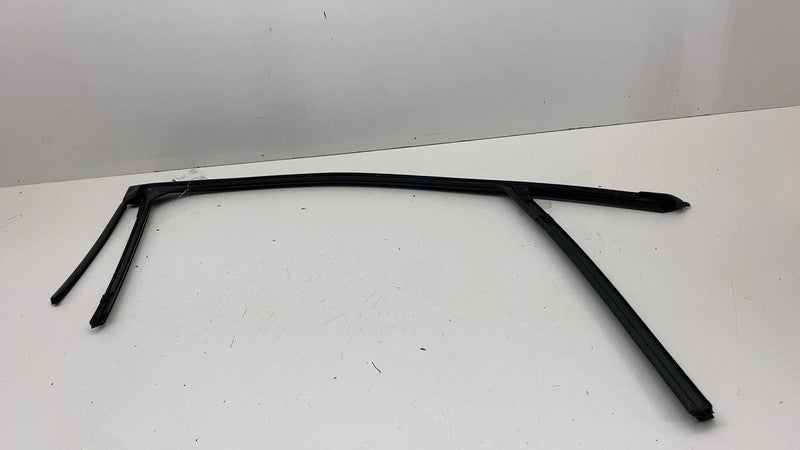 LJ8BR21511A ⭕ 21-24 Mustang Mach-E Front Left Door Window Glass Channel Seal LJ8B-R21511-A