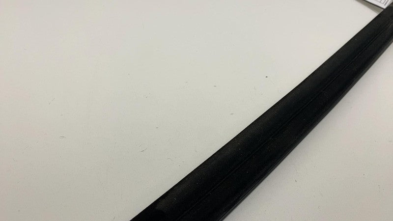 2012-2020 Tesla Model S Rear Driver Door Window Outer Belt Molding Chrome Left