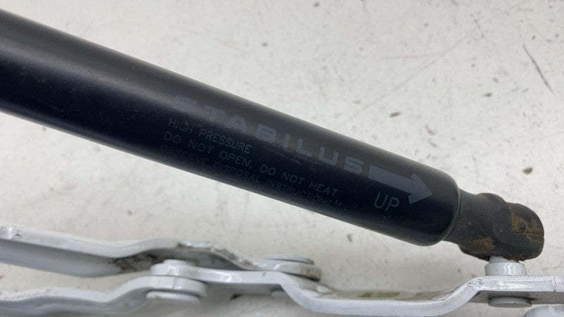 ⭕21-23 Model 3 Rear Left & Right Trunk Liftgate Hinges 1667398-00-B/16