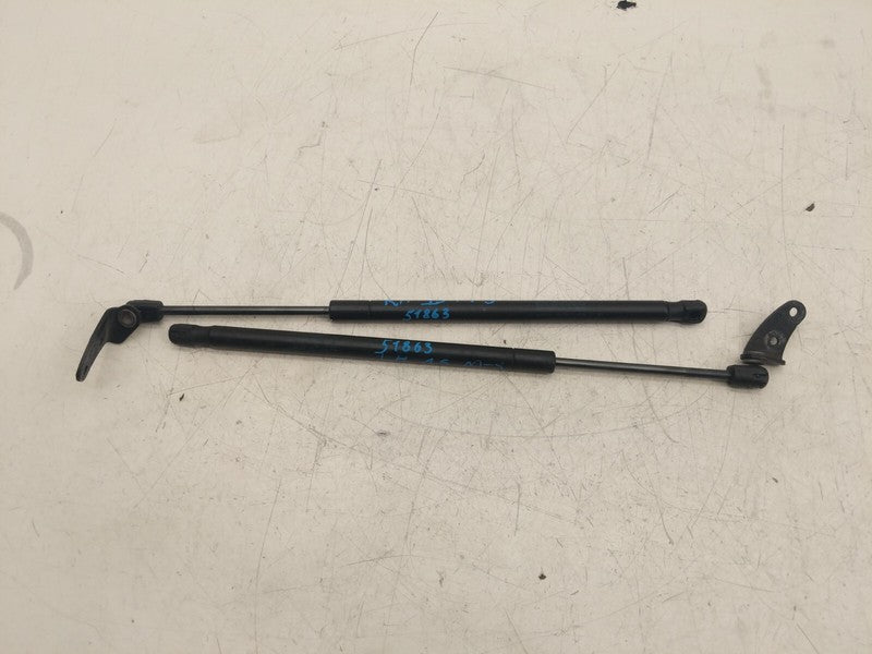 195505 0460N 2012 2013 2014 2015 Tesla Model S PAIR Left & Right Hood Lift Gas Strut Assy OEM