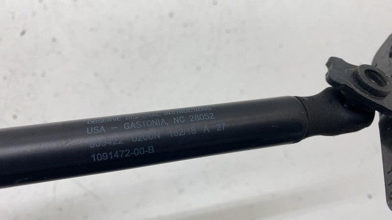 1091870 00 B 2017-2023 Tesla Model 3 Front Passenger Side Hood Lift Shock Strut Support Right