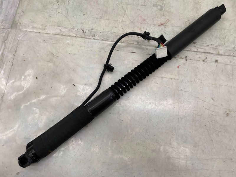 106344000D ⭕ 16-25 Model X MX Rear Left/Front Right Primary Falcon Door Strut 1063440-00-D