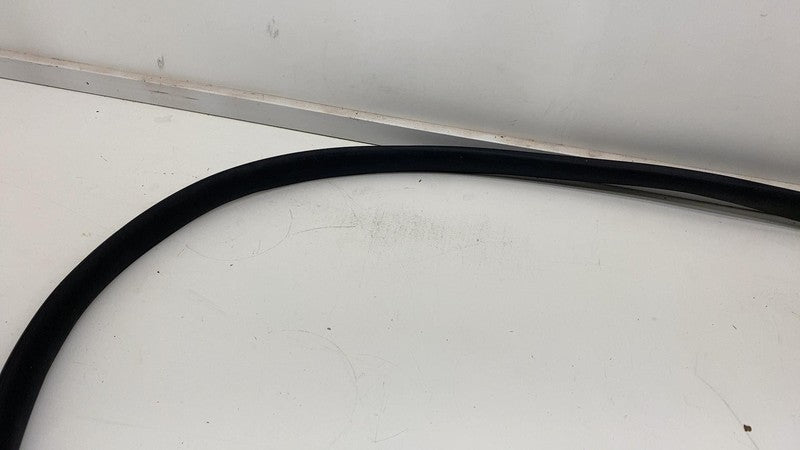 ⭕ 20-23 Tesla Model Y Rear Driver Side Door Body Weatherstrip Rubber S