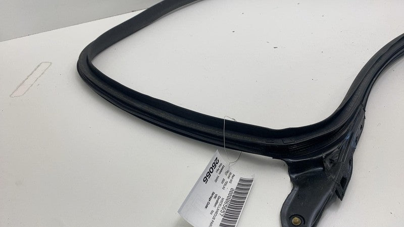 191098300E ⭕ 24-25 Model 3 Front Left Primary Body Weatherstrip Rubber Seal LH 1910983-00-E