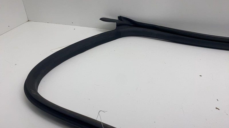 191098300E ⭕ 24-25 Model 3 Front Left Primary Body Weatherstrip Rubber Seal LH 1910983-00-E