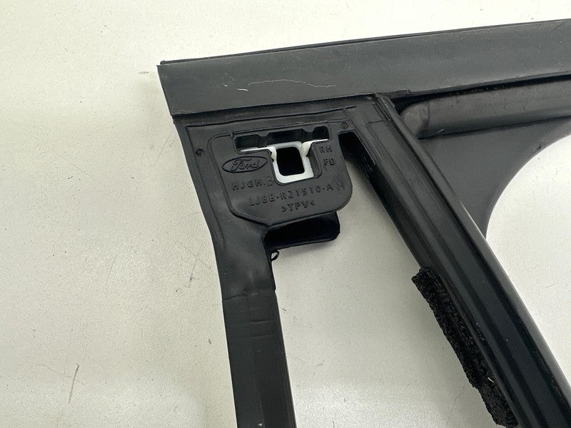 LJ8BR21510AH ⭕ 21-24 Mustang Mach-E Front Right Window Glass Run Channel Seal LJ8B-R21510-AH