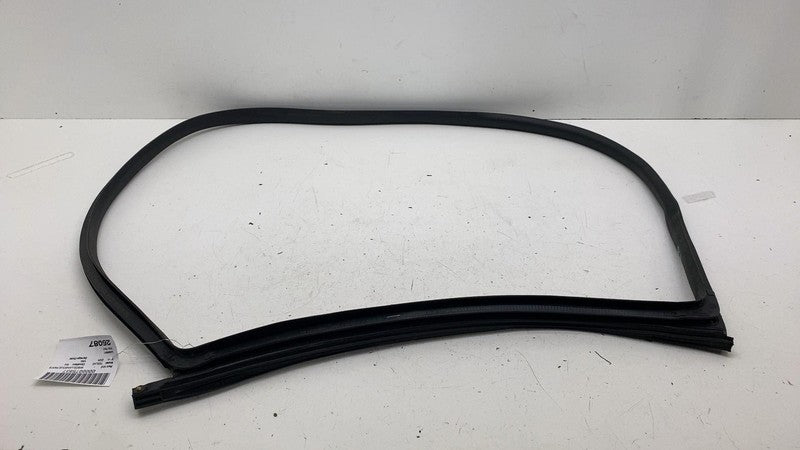 191098500C ⭕ 24-25 Tesla Model 3 Rear Side Left Door Primary Weatherstrip Seal 1910985-00-C