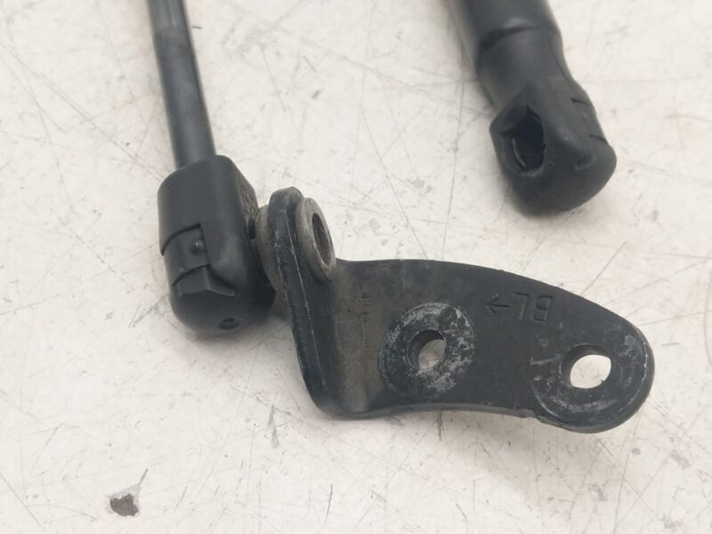 195505 0460N 2012 2013 2014 2015 Tesla Model S PAIR Left & Right Hood Lift Gas Strut Assy OEM