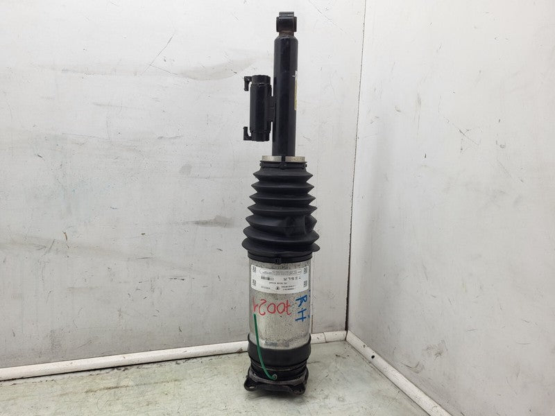 ⭕ 19-20 Model S Rear Passenger Suspension Air Spring Module Right 1066
