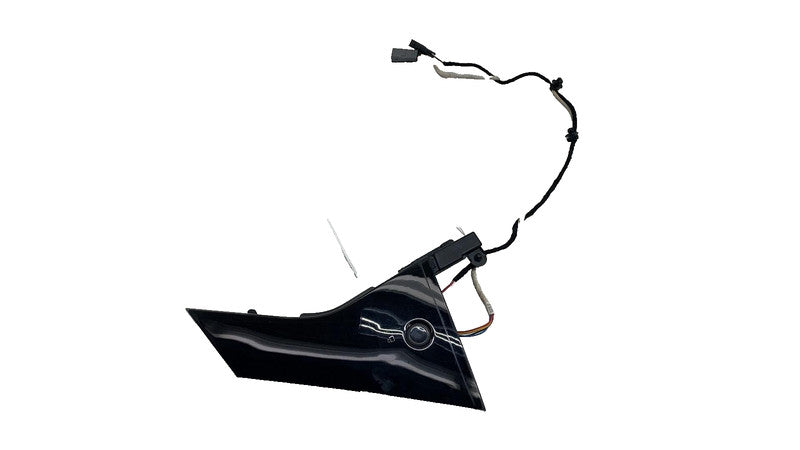 LJ8BR254A42AHW ⭕ 21-24 Mustang Mach-E Rear Right Door Window Applique Molding LJ8B-R254A42-AHW