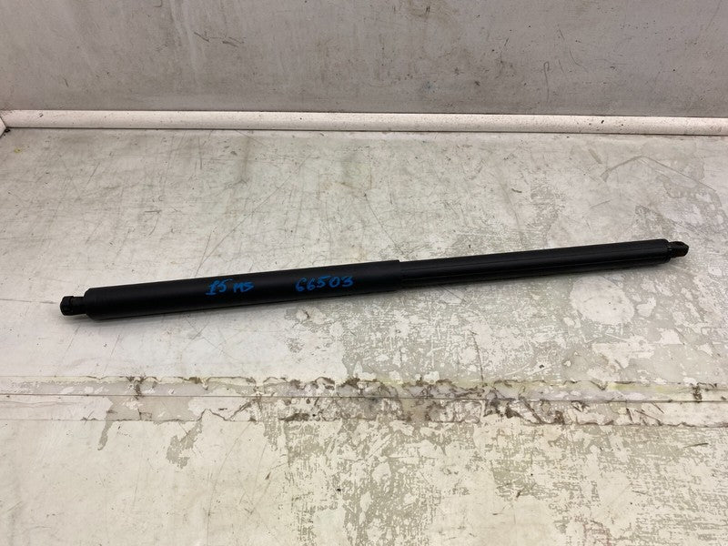 ⭕ 2012-2025 Tesla Model S Rear Left Liftgate Trunk Spring Strut LH 600