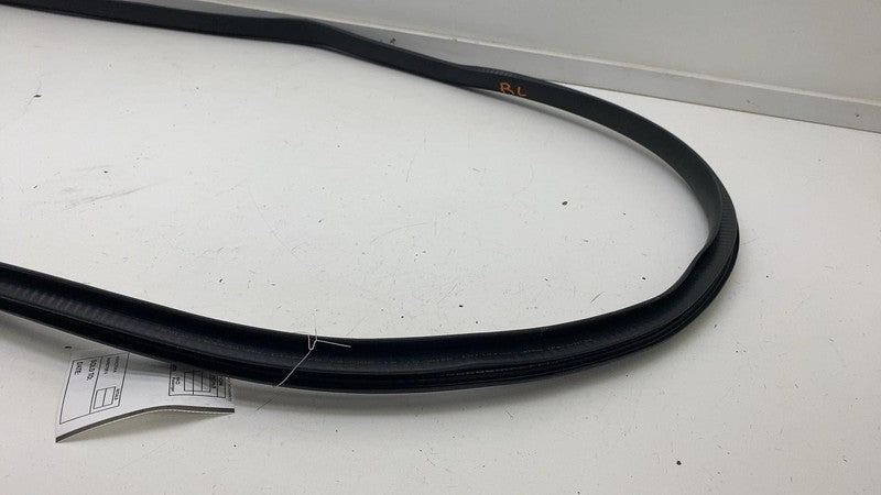 ⭕ 20-23 Tesla Model Y Rear Driver Side Door Body Weatherstrip Rubber S