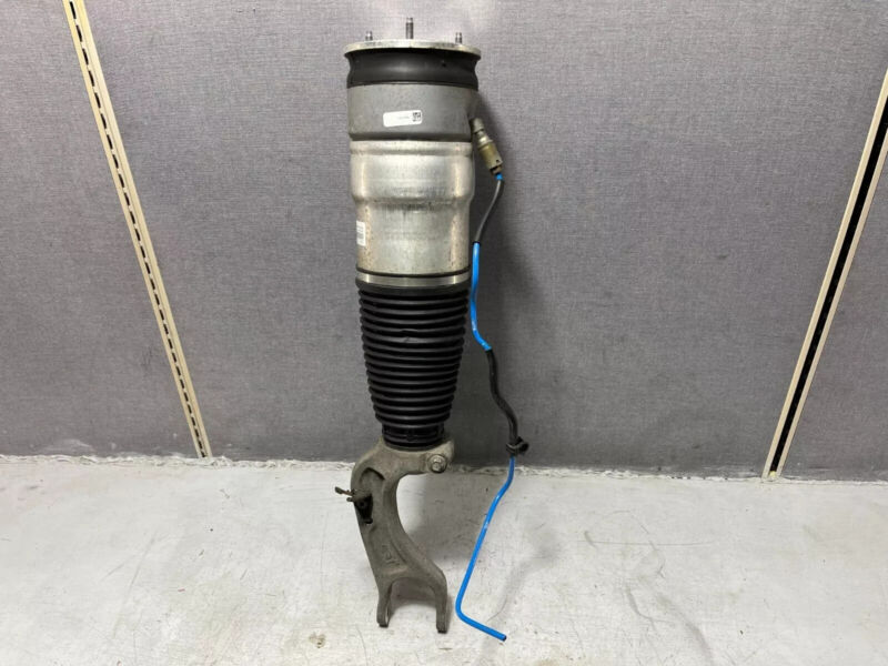 2012-2015 Tesla Model S Front Left or Right Air Spring Module Shock Absorber OEM