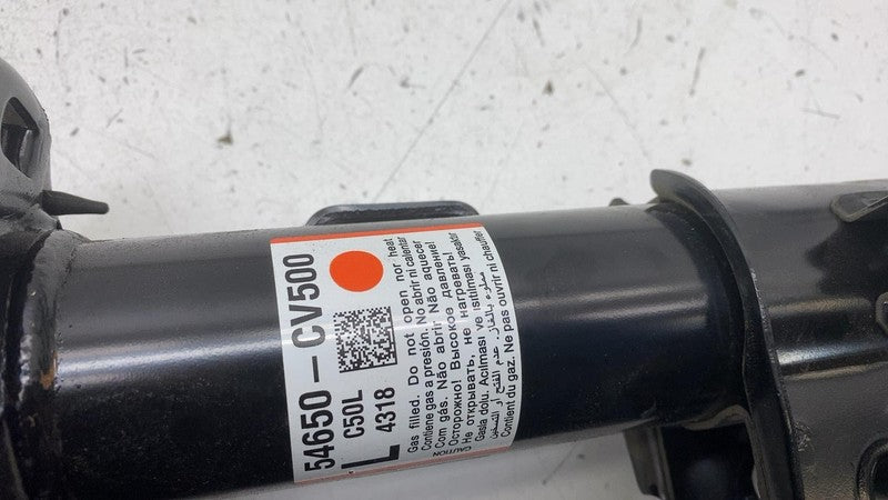 2022 2023 2024 Kia EV6 Driver Side Shock Strut Absorber w/ Coil Spring