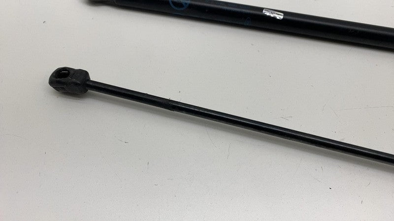 AM51 R406A10 BA 2013-2018 Ford C-Max PAIR of Rear Trunk Hatch Liftgate Gas Spring Lift Support