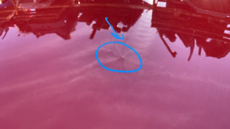 2012-2018 BMW 3-Series 328d 328i 320i 330i 428i Hood Bonnet Panel Assembly Red