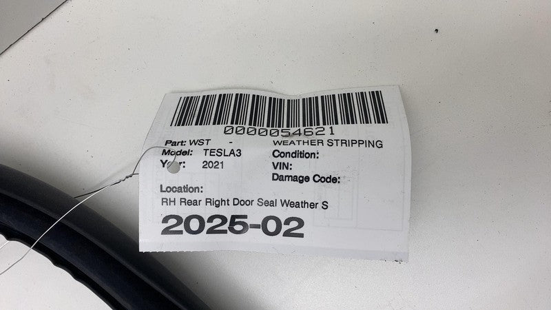 2017-2023 Tesla Model 3 Rear Passenger Right Door Body Weatherstrip Rubber Seal
