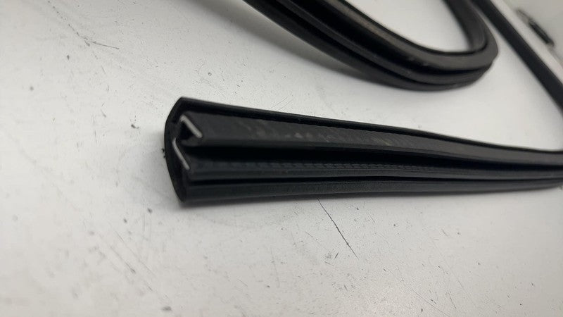 LJ8BR253H10AD ⭕ 21-24 Mustang Mach-E Front Door Body Weatherstrip Rubber Seal LJ8B-R253H10-AD