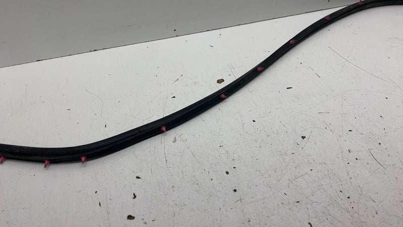 ⭕ 23-25 Toyota Prius Front Right Door Body Weatherstrip Rubber Seal 67