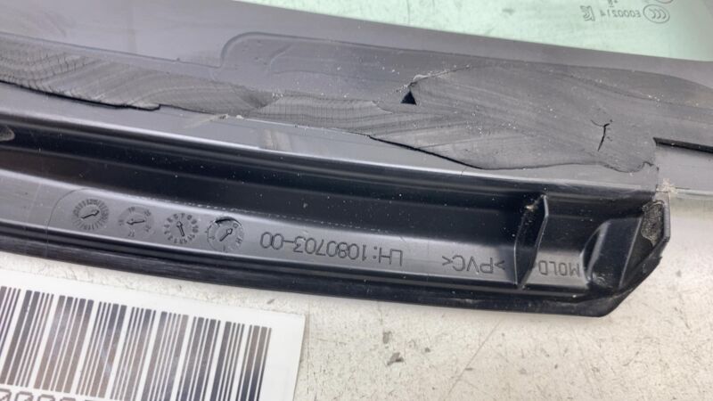 2017-2020 Tesla Model 3 M3 Rear Driver Side Quarter Fixed Window Glass Left LH