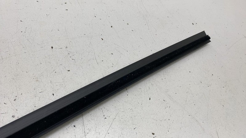 171260600C ⭕ 24-25 Model 3 Front Driver Left Door Inner Belt Weatherstrip Seal 1712606-00-C