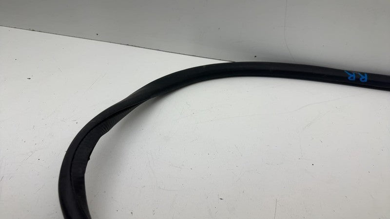 ⭕ 21-24 Mustang Mach-E Rear Passenger Right Door Body Weatherstrip Rubber Seal