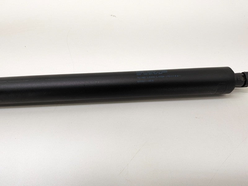 ⭕ 2012-2025 Tesla Model S Rear Left Liftgate Trunk Spring Strut LH 600