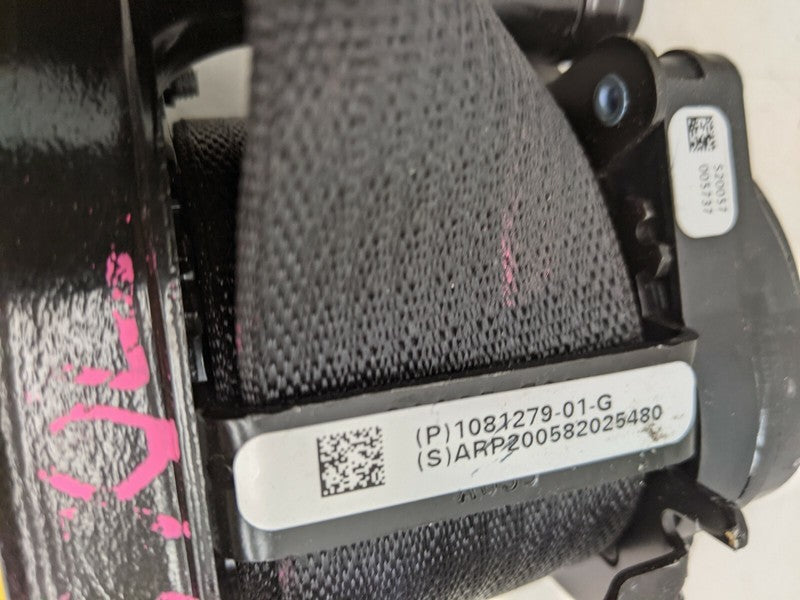 1081279-01-G ⭕ 2017-2023 Tesla Model 3 Front 1st Row Seat Belt & Retractor Right 1081279-01-G