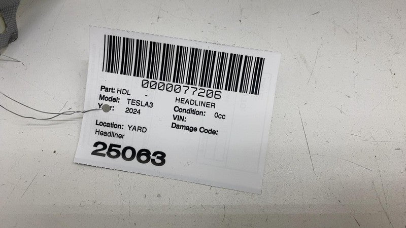 174273796F ⭕ 24-26 Tesla Model 3 Panoramic Sun Roof Ceiling Moonroof Headliner 1742737-96-F