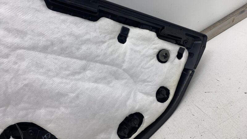 1105095-00-E 2017-2020 Tesla Model 3 M3 Rear Driver Side Door Panel Trim Cover Black Left LH