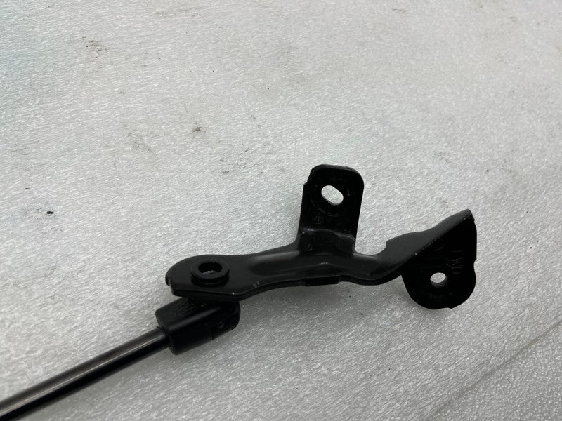 ⭕ 2017-2022 Tesla 3 M3 Front Left Hood Lift Shock Strut Support w/ Bracket OEM