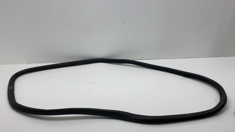 180754700D 2024 Tesla Cybertruck Rear Driver Side Door Seal Gasket Weather Strip Left OEM