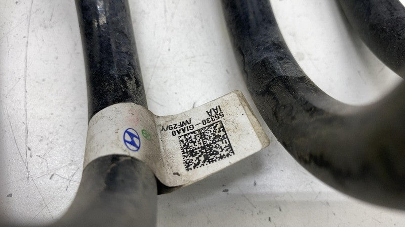 ⭕22-24 Hyundai Ioniq 5 PAIR Rear Left & Right Suspension Coil Spring 5