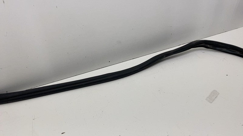 68291607 ⭕ 2019-2025 Ram 1500 Front Right Door Body Weatherstrip Rubber Seal OEM 68291607