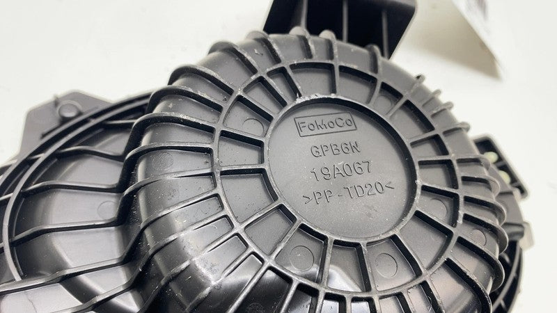 LJ8T19A067AA ⭕ 2021-2024 Ford Mustang Mach-E Rear Subwoofer Audio Speaker Assy LJ8T-19A067-AA