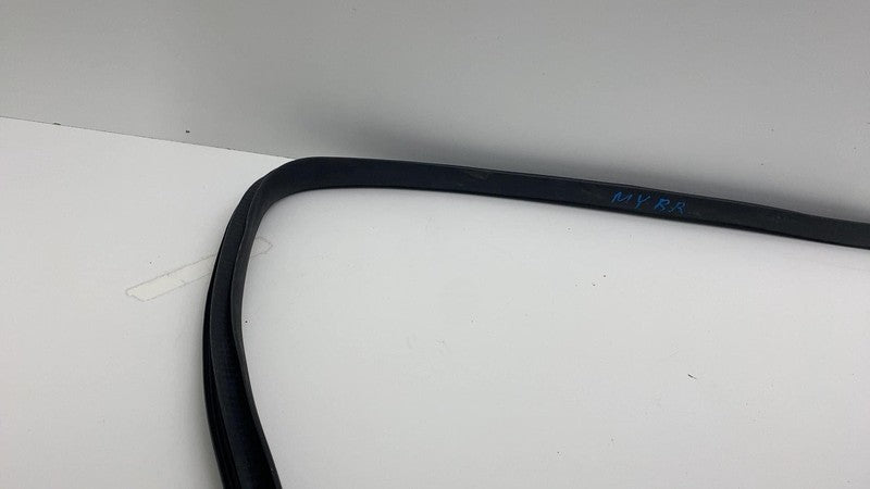 2020-2023 Tesla Model Y Rear Passenger Right Door Body Weatherstrip Rubber Seal