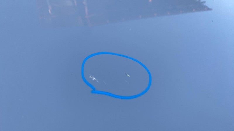 2022-2024 Rivian R1T R1S Front Hood Bonnet Shell Cover Panel Limestone - EXP009